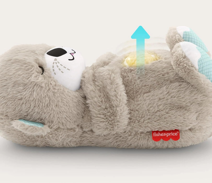 Fisher-Price Soothe'n Snuggle Otter4